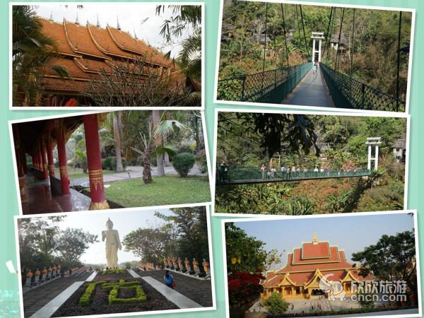 ��˫�����Լ���·��