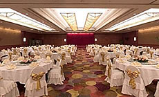 �����ѻ��Ƶ����