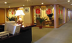 �Ƶ���������