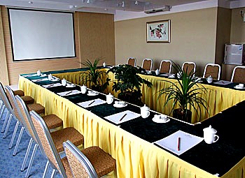 �Ƶ������