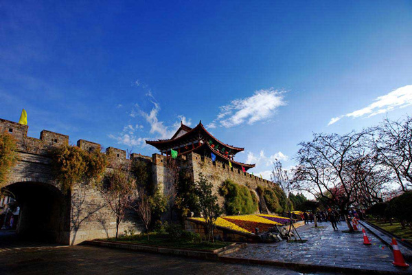 �����ų�